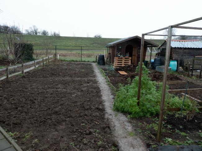 Moestuinforum-100017428691546271239.jpg