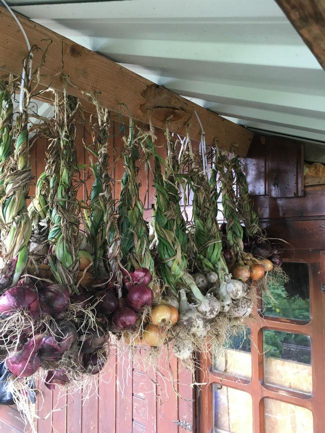 Moestuinforum-608977611565115679.jpg