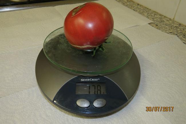 NdeC4911951501445503.JPG