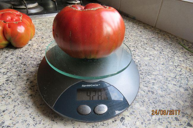 NdeC6063281503609714.JPG