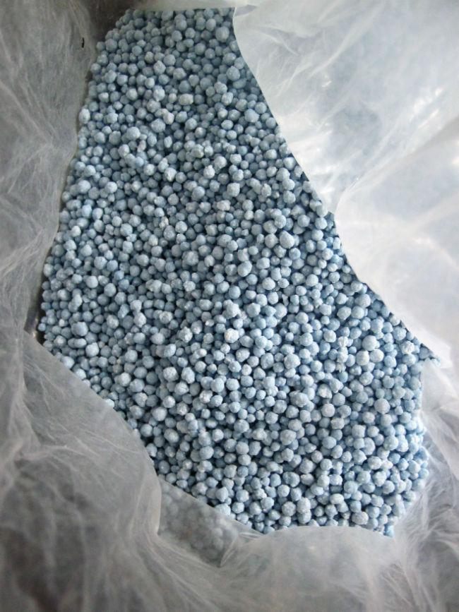 Onbekende-korrels98911529875916.jpg