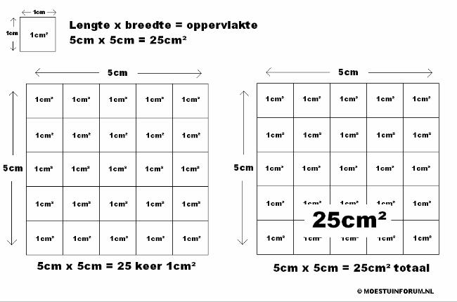 Oppervlakte-berekenen49861381158717.PNG