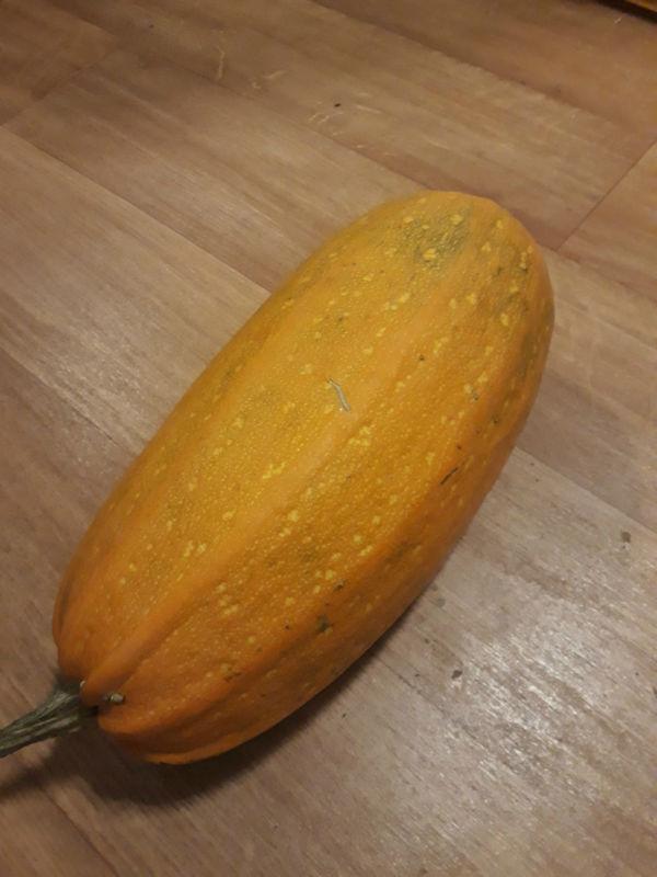 OranjeCourgette800x80000164801542648883.jpg