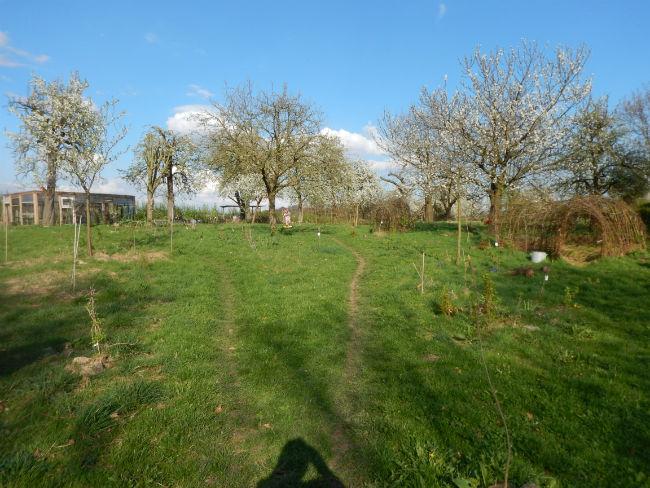 Overzicht-voorkant-voedselbos-Beek11611491423938.JPG