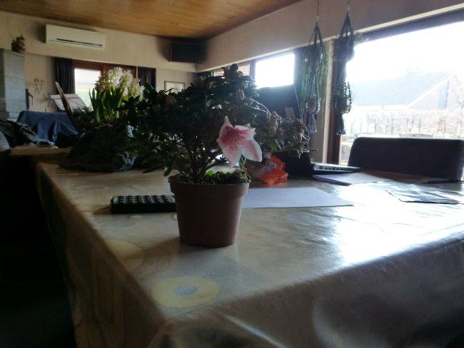 P100009548831394275988.JPG