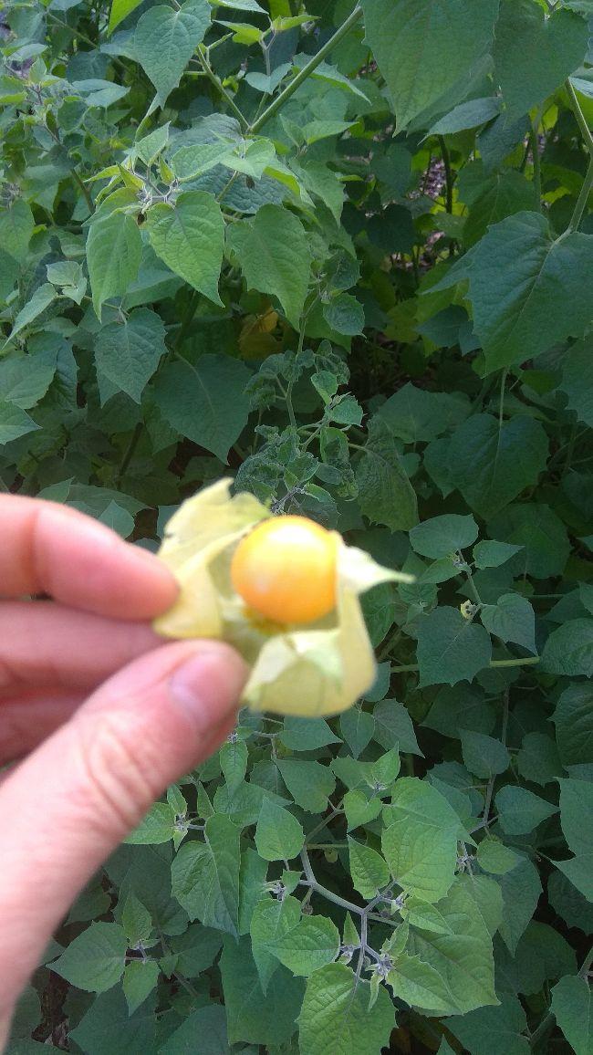 PHOTO2019100510553814731570375838.jpg