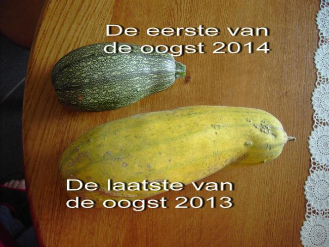 PICT7910tekste69741403794637.jpg