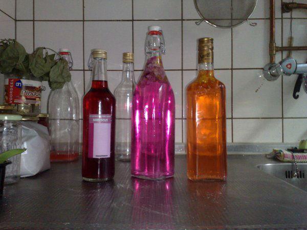 Pink-azijn17411410191267.jpg