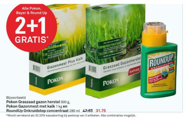 Pokon-en-Round-Up92061426314152.JPG