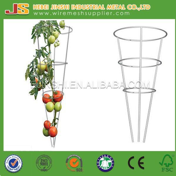 Powder-Coated-Green-Tomato-Cage-plant-supports65301433100696.jpg