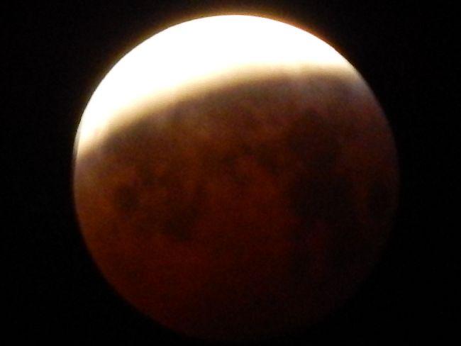 RSCN561471881548099111.JPG
