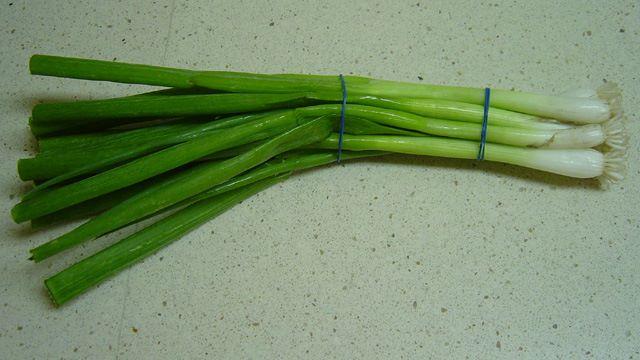 Scallion77381580656783.jpg