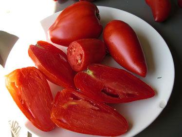 Tomate-Cornue-des-Andes31841378798351.jpg