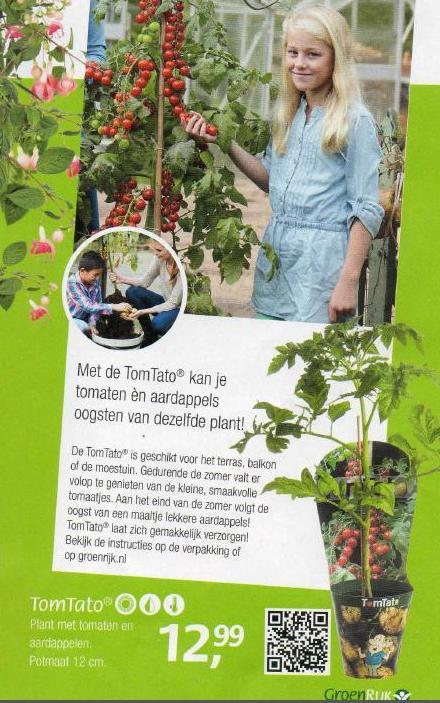 Tomtato1-GroenRijk45571430334173.jpg