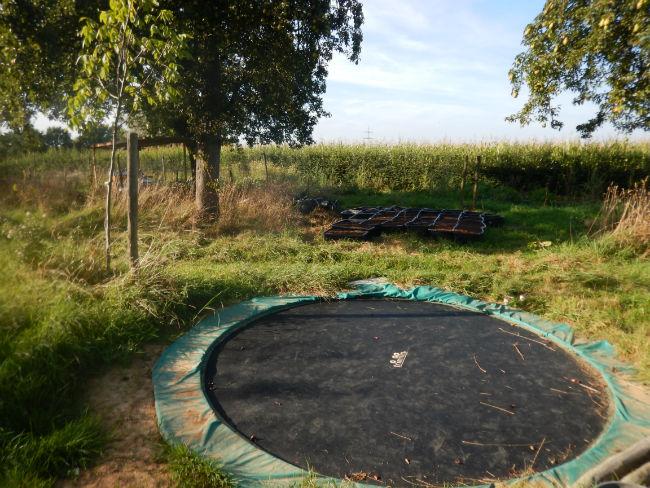 Trampoline-en-veenbakken77161474181671.JPG