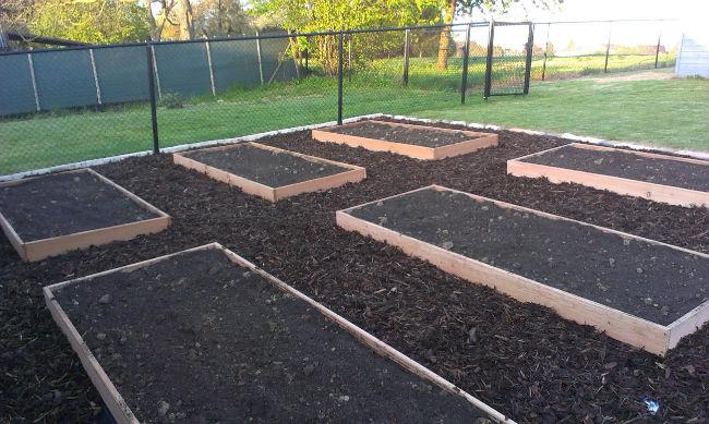 Tuin-14-4-1546691397585702.jpg