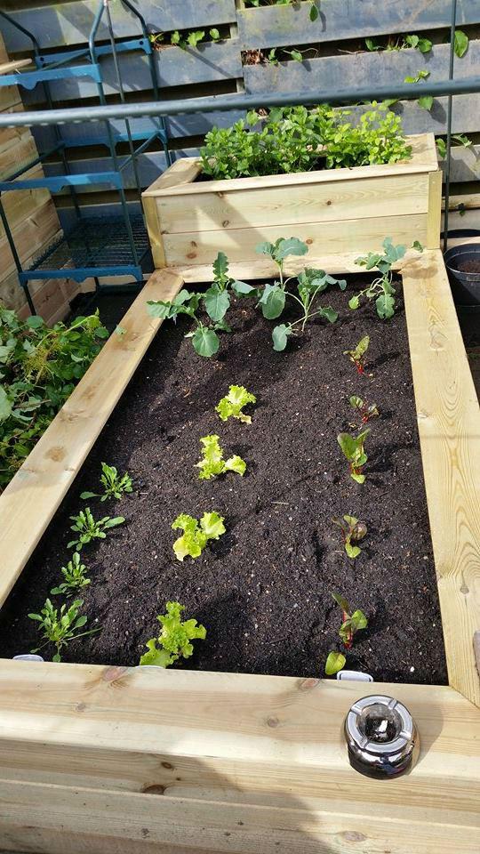 Tuin-3-6-1580151433311670.jpg