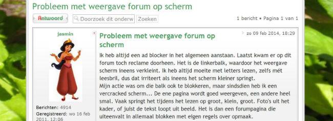 Voorbeeld-248351391969699.JPG