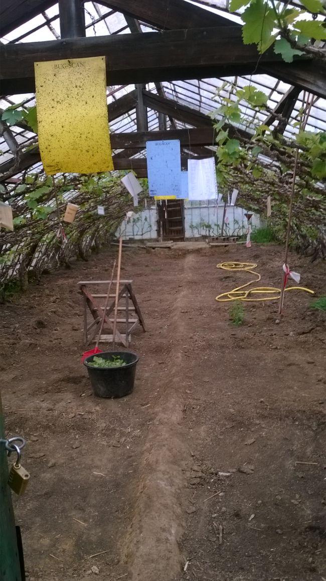 WP2015042600235261430052408.jpg