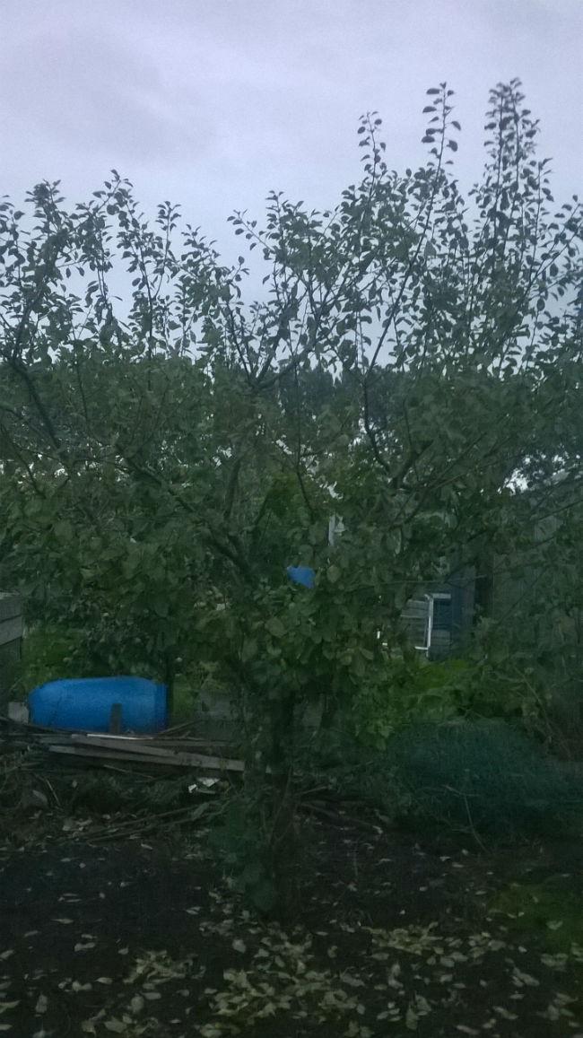 WP20150915007180021442408950.jpg
