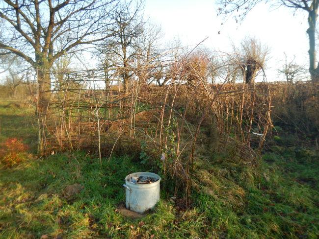 Wilgenhut-201612121482861004.JPG