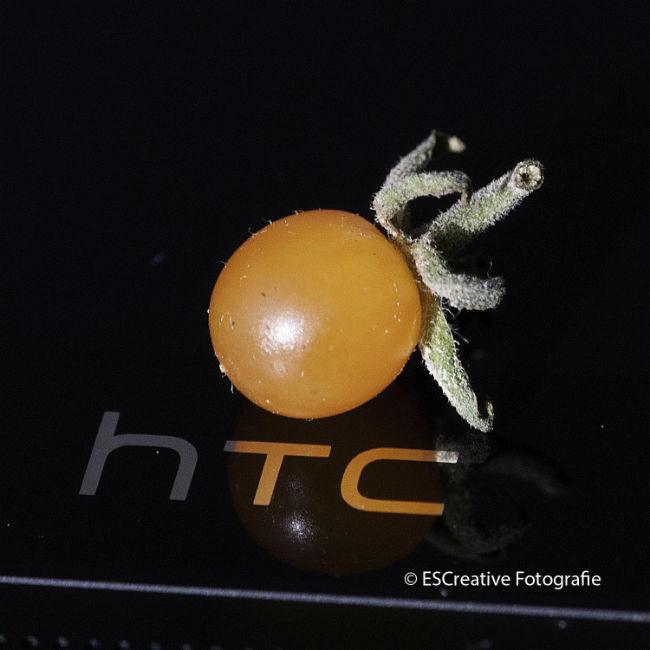 Worlds-smallest-tomato-262281378572649.jpg