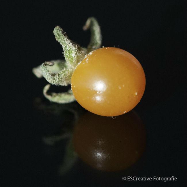 Worlds-smallest-tomato-549941378574966.jpg