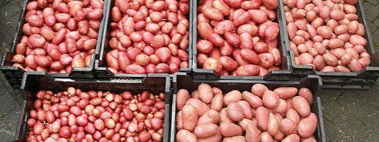 aardappelen56131466013816.jpg