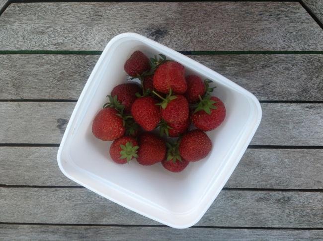 aardbeien193161375356038.JPG