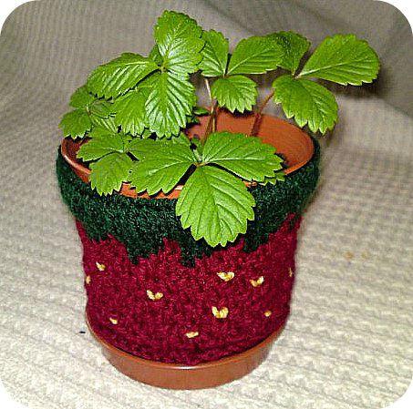 aardbeipot38421394228228.JPG