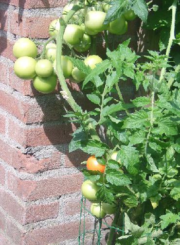 achter-2010-352771329771521.jpg