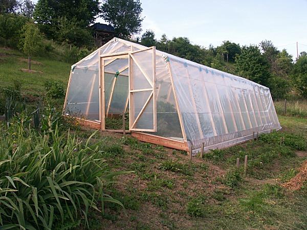 Folie tunnels/kassen bouwen? Doe het zelf - Moestuin Forum