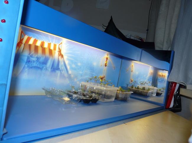 afbeelding-01498701329767211.JPG