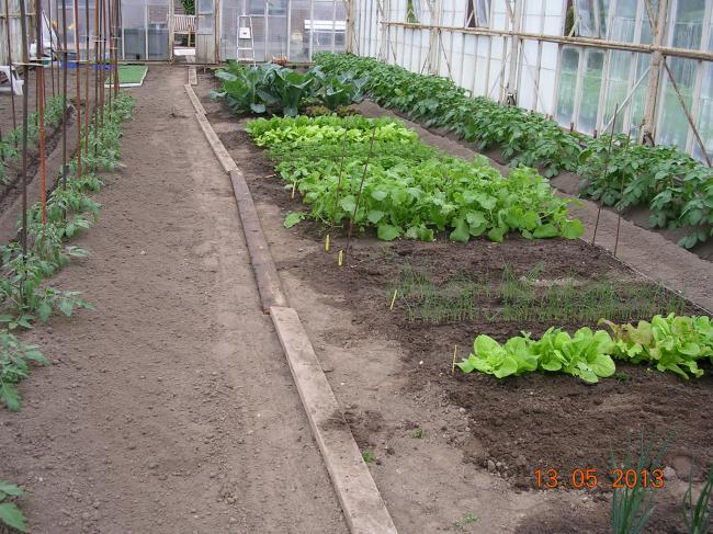 afbeelding-02942171368682786.jpg