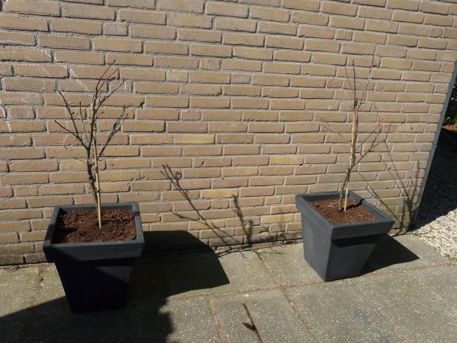 afbeelding-11198841332678522.jpg