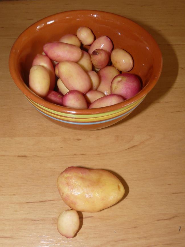 afbeelding-24966051339402646.jpg