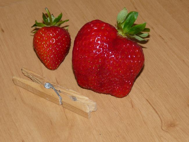 afbeelding-25328391339403005.jpg