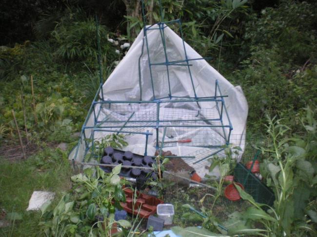 afbeelding-40862751339930244.jpg