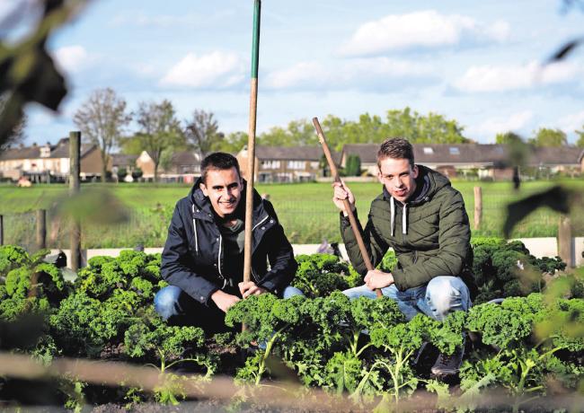 afbeelding-moestuinland-ruben-peter-tubantia-lenneke-lingmont43191523541176.png