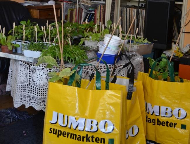 ali-klaar-voor-vertrek47081366534275.jpg