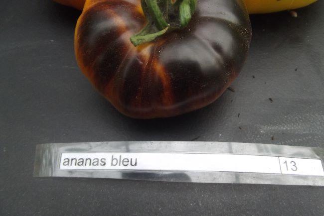 ananas-noir51691501350653.JPG