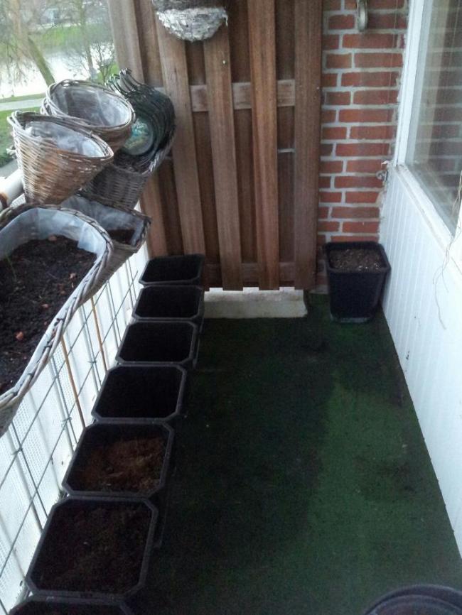 balkon40291357056304.jpg