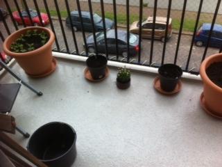 balkon47441334136489.jpeg
