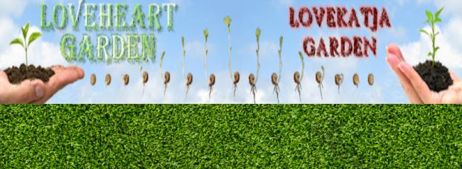 banner-v-iekante-moestuin-j+c11831374443780.png