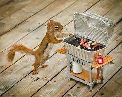 bbq46331428829659.jpg