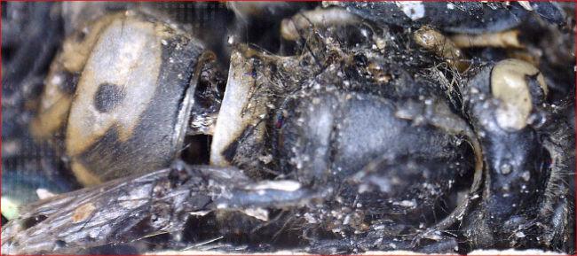 beker495341450122659.JPG
