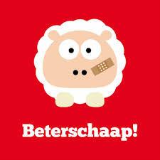 beterschaap51051423852478.jpg