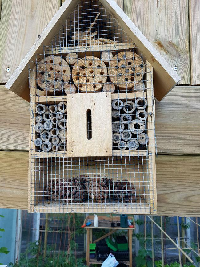bijenhotel25721496259372.jpg