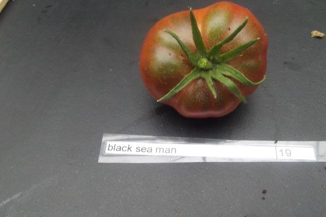 black-sea-man27111501350694.JPG