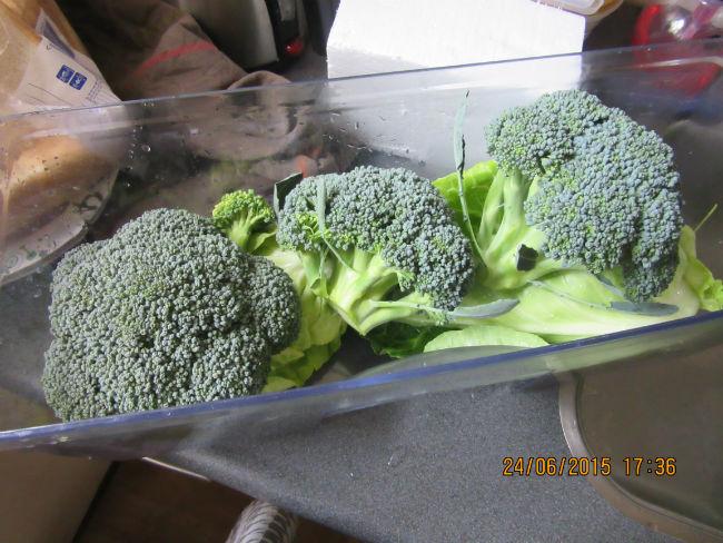 broccoli-00153381435157394.JPG